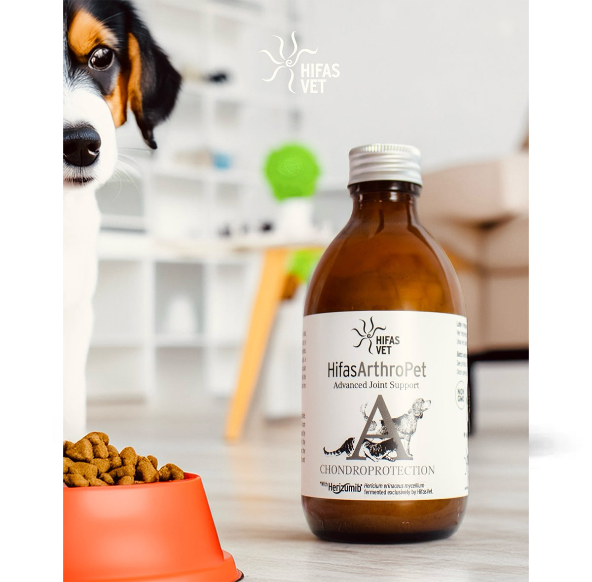 „Hifas Arthro Pet“ skystas maisto papildas augintinių sąnarių sveikatai palaikyti