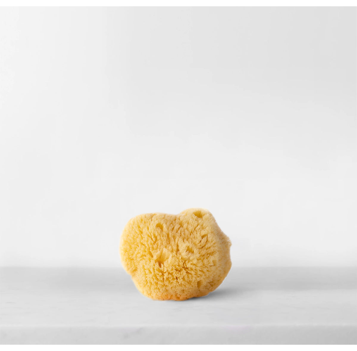 "Lūo Facial Sea Sponge” veido valymo kempinėlė