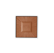 "ReDimension Hydra Powder" bronzanto papildymas
